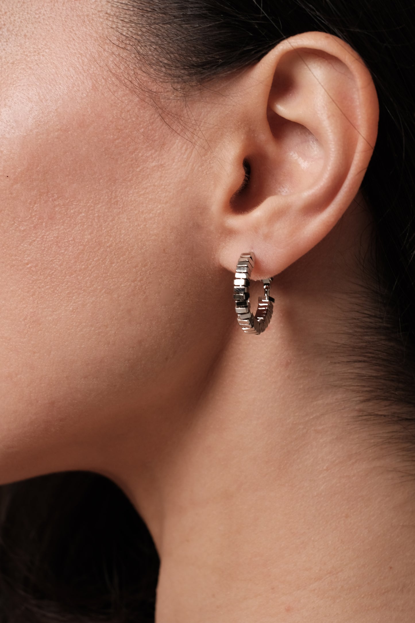 Auskari "Silver hoops 2"